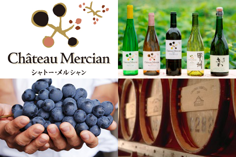 jp_wine_fair2016.jpg