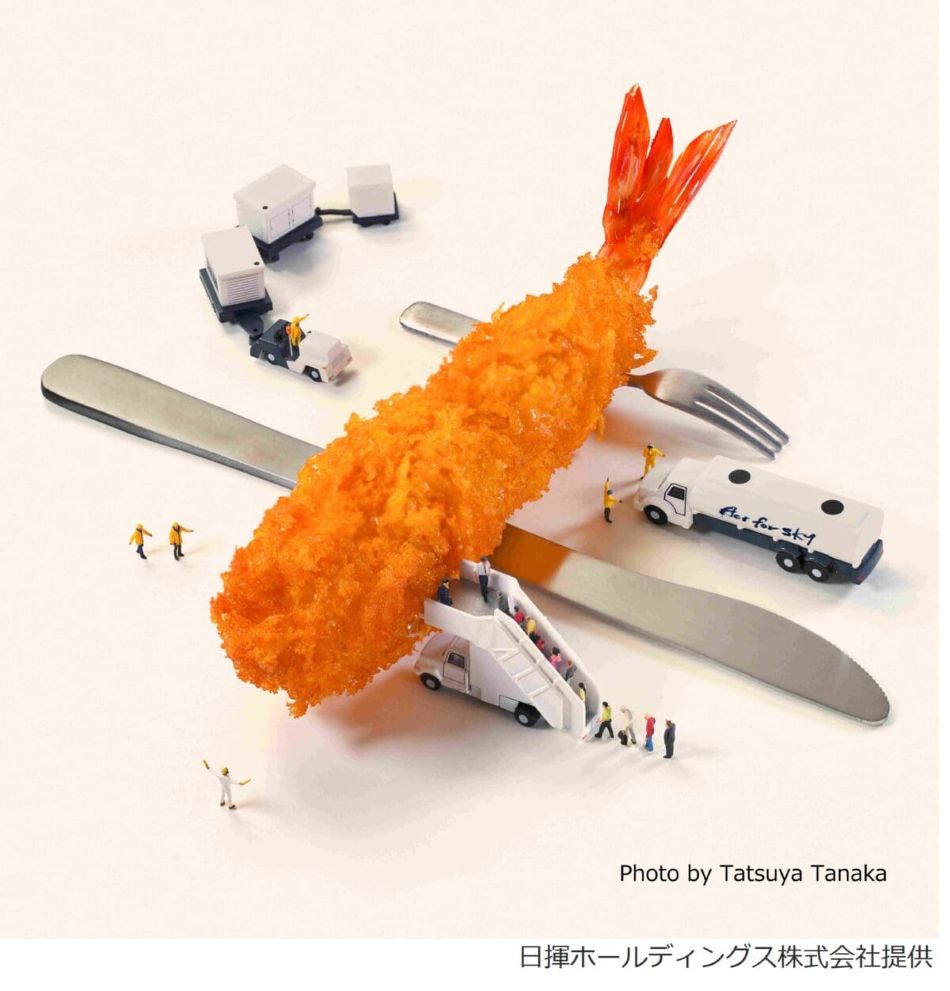 FRY to FLY Project